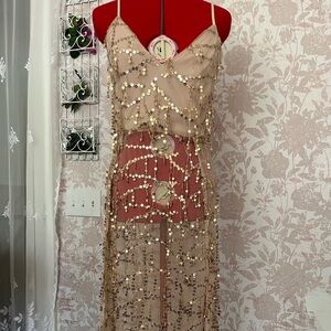 Elegant Beaded Sheer Champagne Gatsby Patty Cocktail Dress